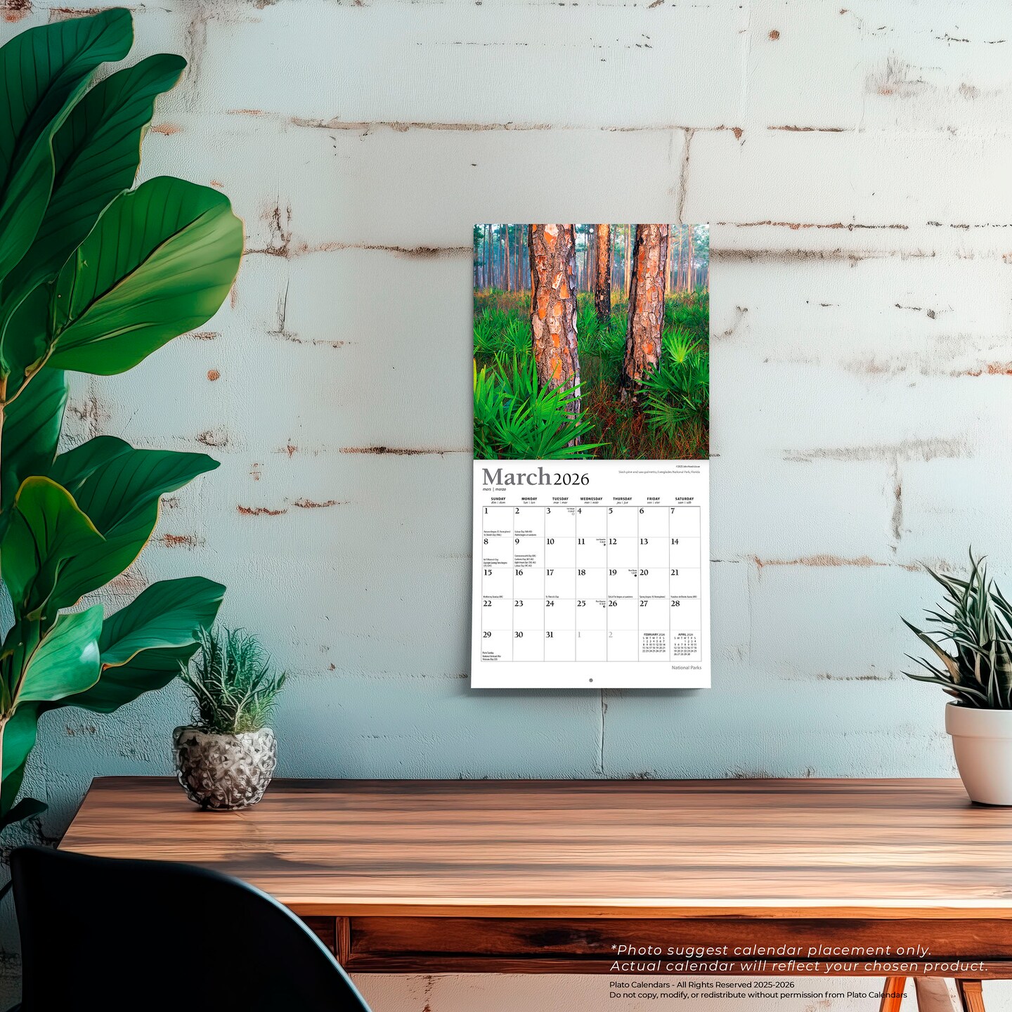 National Parks | 2026 7 x 14 Inch (Hanging) Monthly Mini Wall Calendar | Foil Stamped Cover