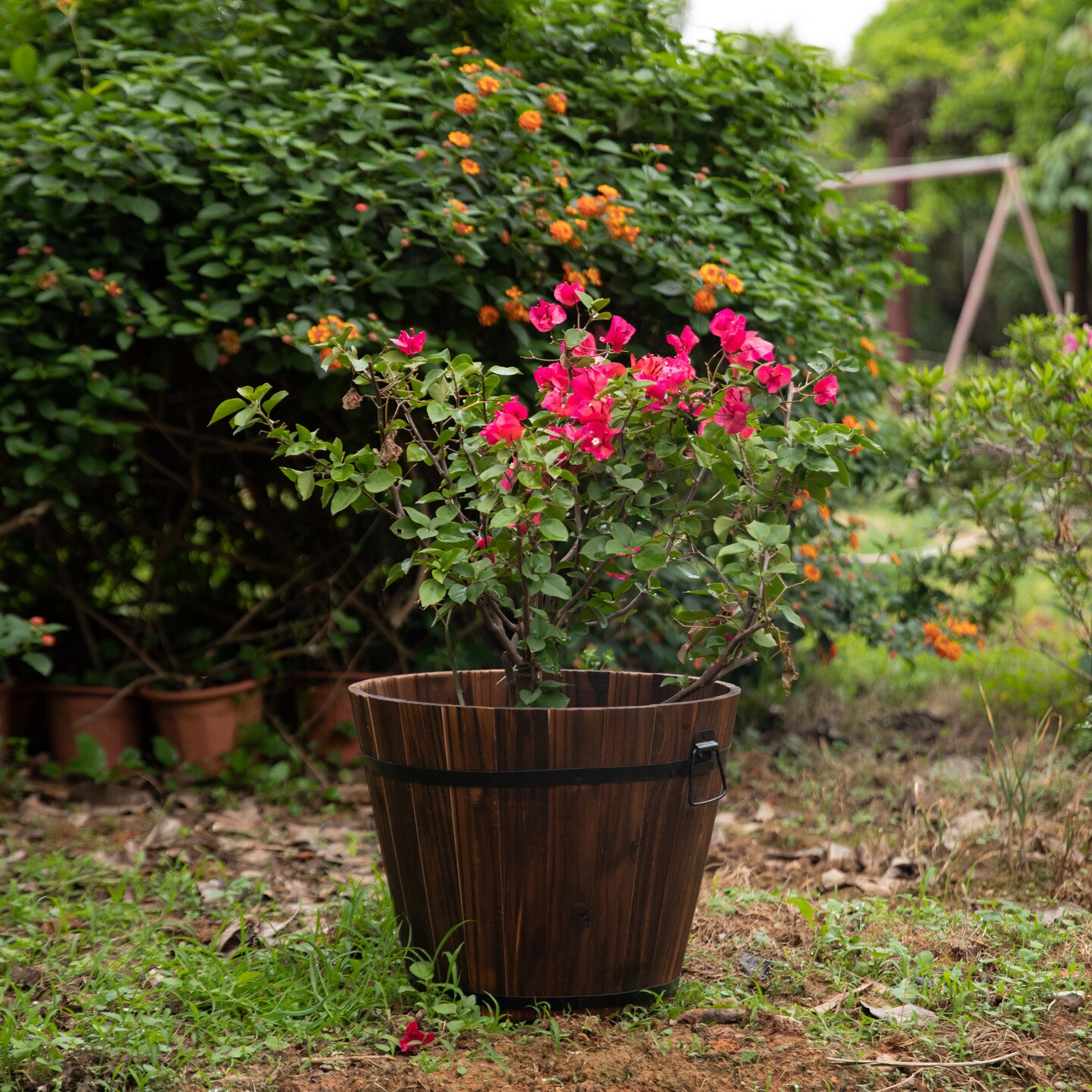 Wooden Whiskey Barrel Planters