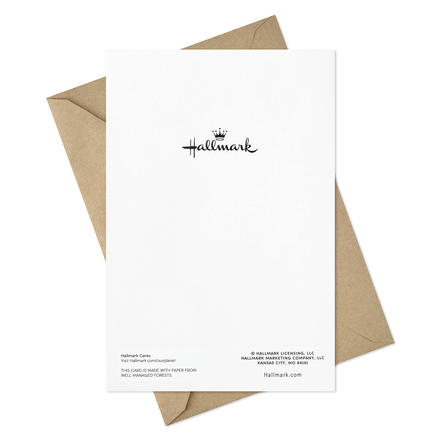 Sympathy Cards Assortment, Watercolor Greenery (12 Assorted Thinking of You Cards with Envelopes)