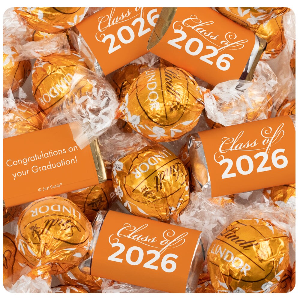 65 Pcs Light Blue Graduation Candy Party Favors Hershey's Miniatures and Truffles by Just Candy
