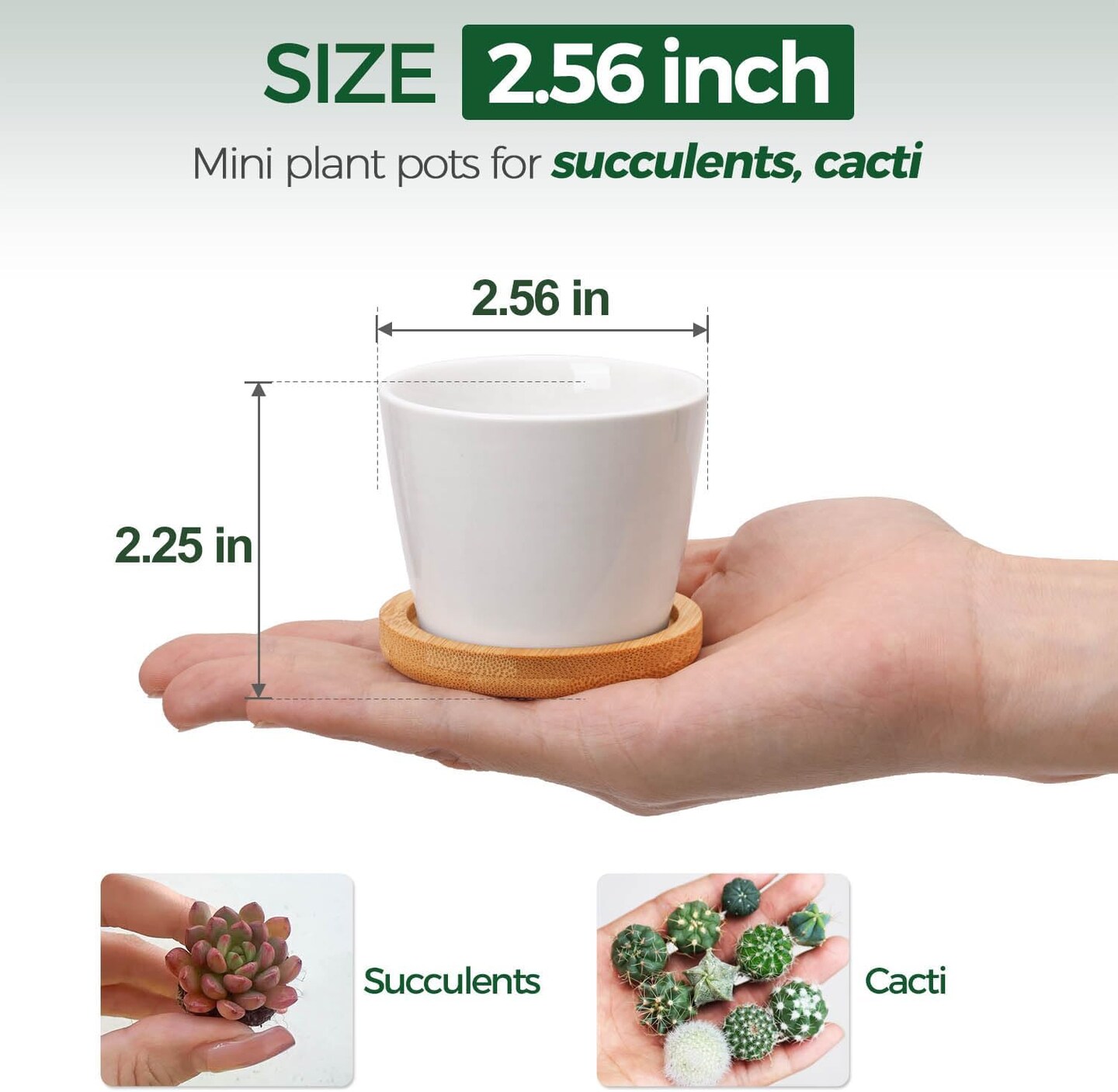 Set of 6 Mini 2.5 Inch White Ceramic Succulent Pots with Bamboo Tray – Round Small Planters for Cactus, Succulents, Air Plants, Desk, Home & Office Decor