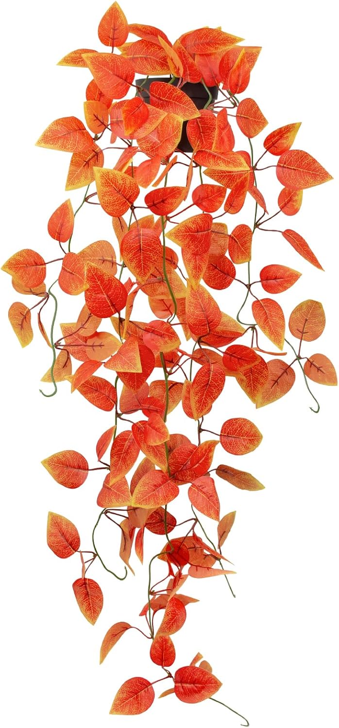 hanging neon pothos Pothos - Neon - Hanging Basket