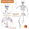 Skeleton Full Body Human Skeleton for Halloween Decorations