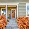 Artificial Eucalyptus Fall Plant Fake Bushes Boxwood Shrubs Outdoor