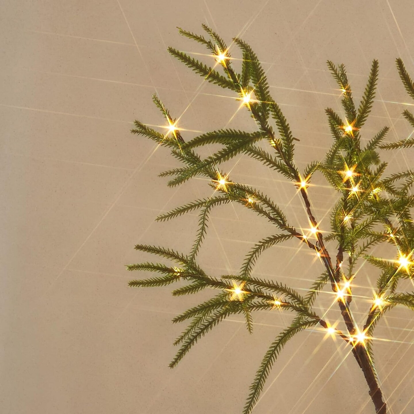 Lighted Norfolk Pine Garland