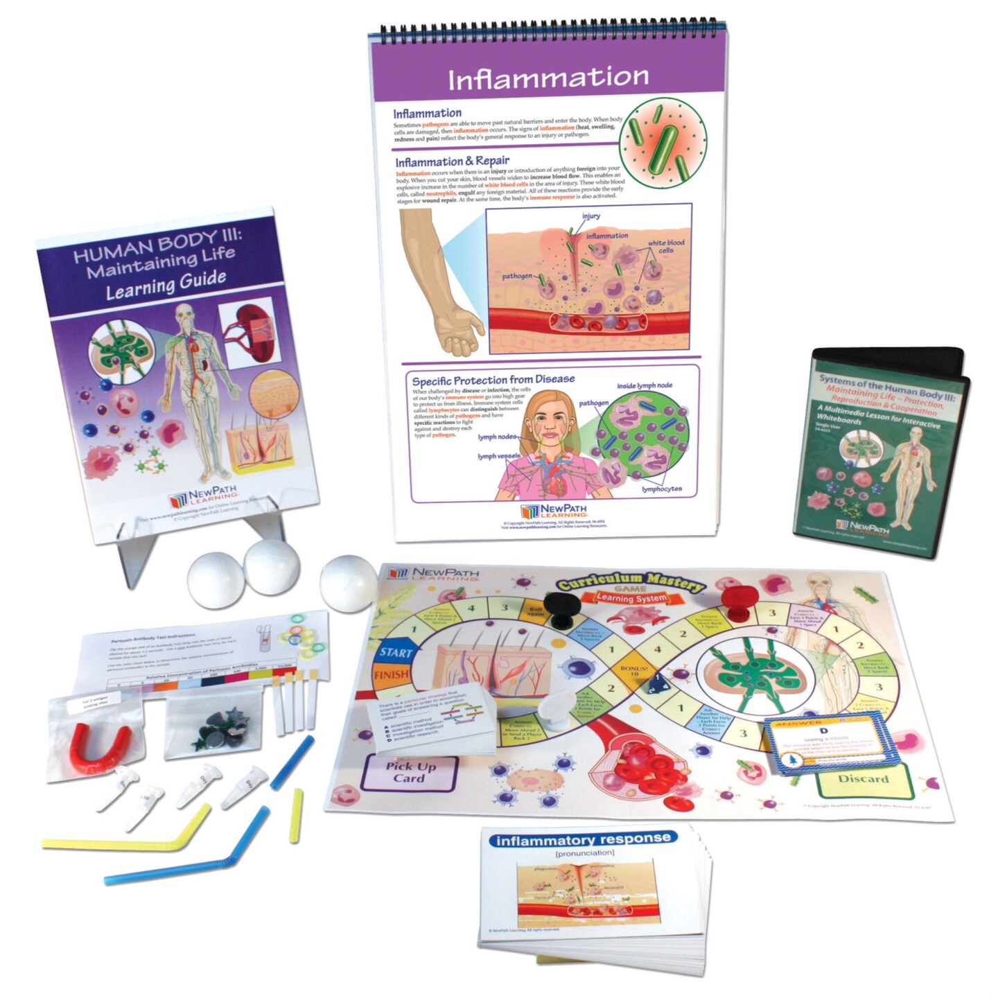 NewPath's Human Body III, Maintaining Life Curriculum Learning Module ...