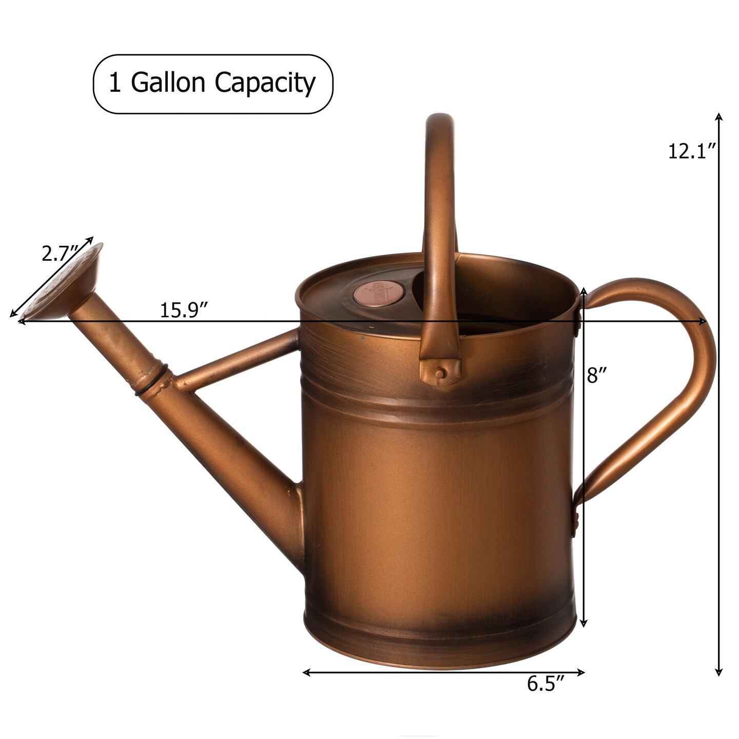 Gardenised 1 Gallon Galvanized Metal Watering Can with Removable Long Spout & Sprinkler Head for Indoor & Outdoor Use Ideal for Garden Flowers Potted Plants Houseplants Modern Home Accessories