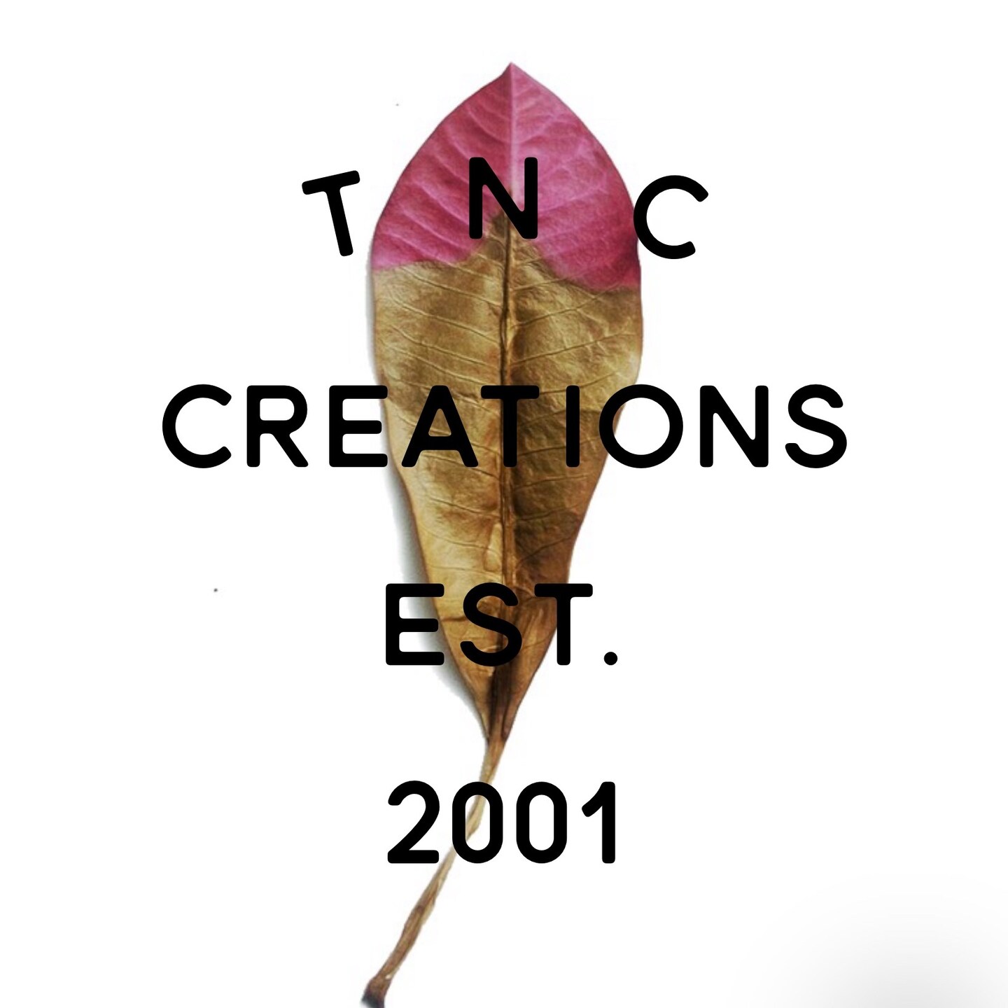 storefront logo