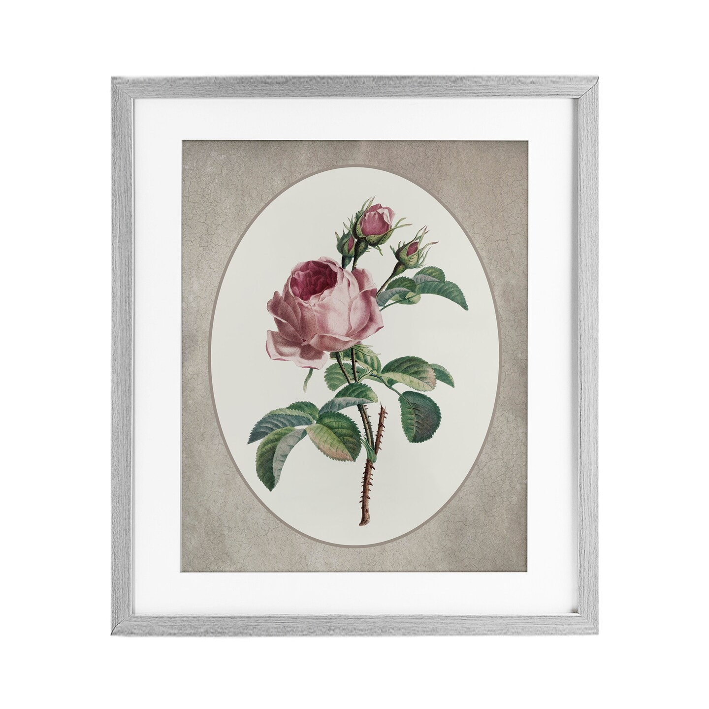 Stupell Industries Vintage Rose within Oval Framed Print Under Glass, design by Lettered and Lined