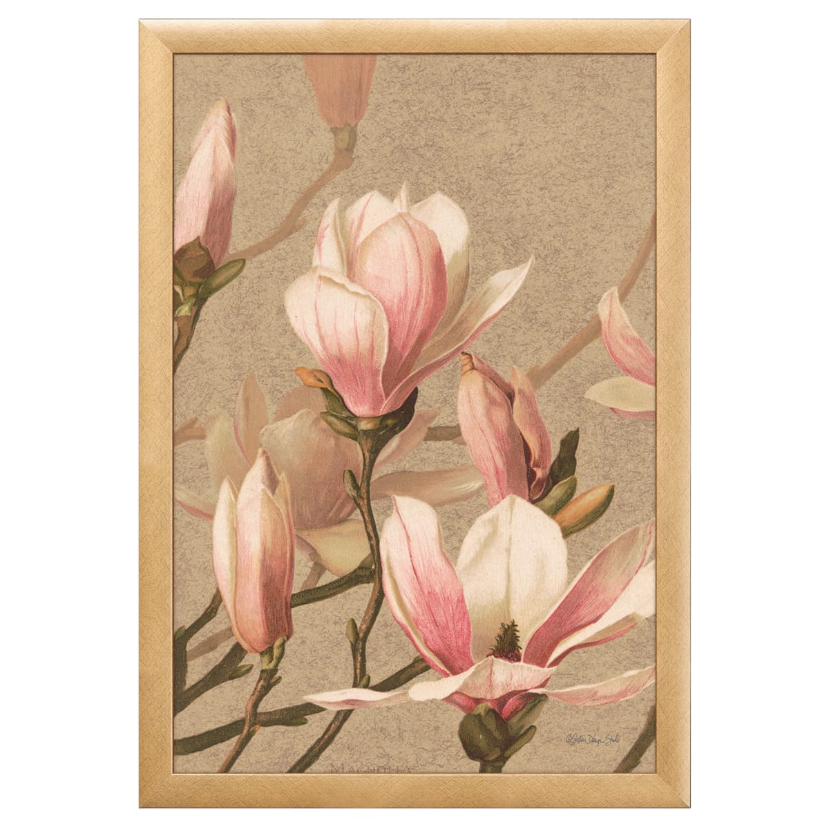 12" x 18" Antique Botanical Collection 4 Framed Wall Art, Contemporary Floral Home Décor, Plexiglass Facing and Hanging Hardware