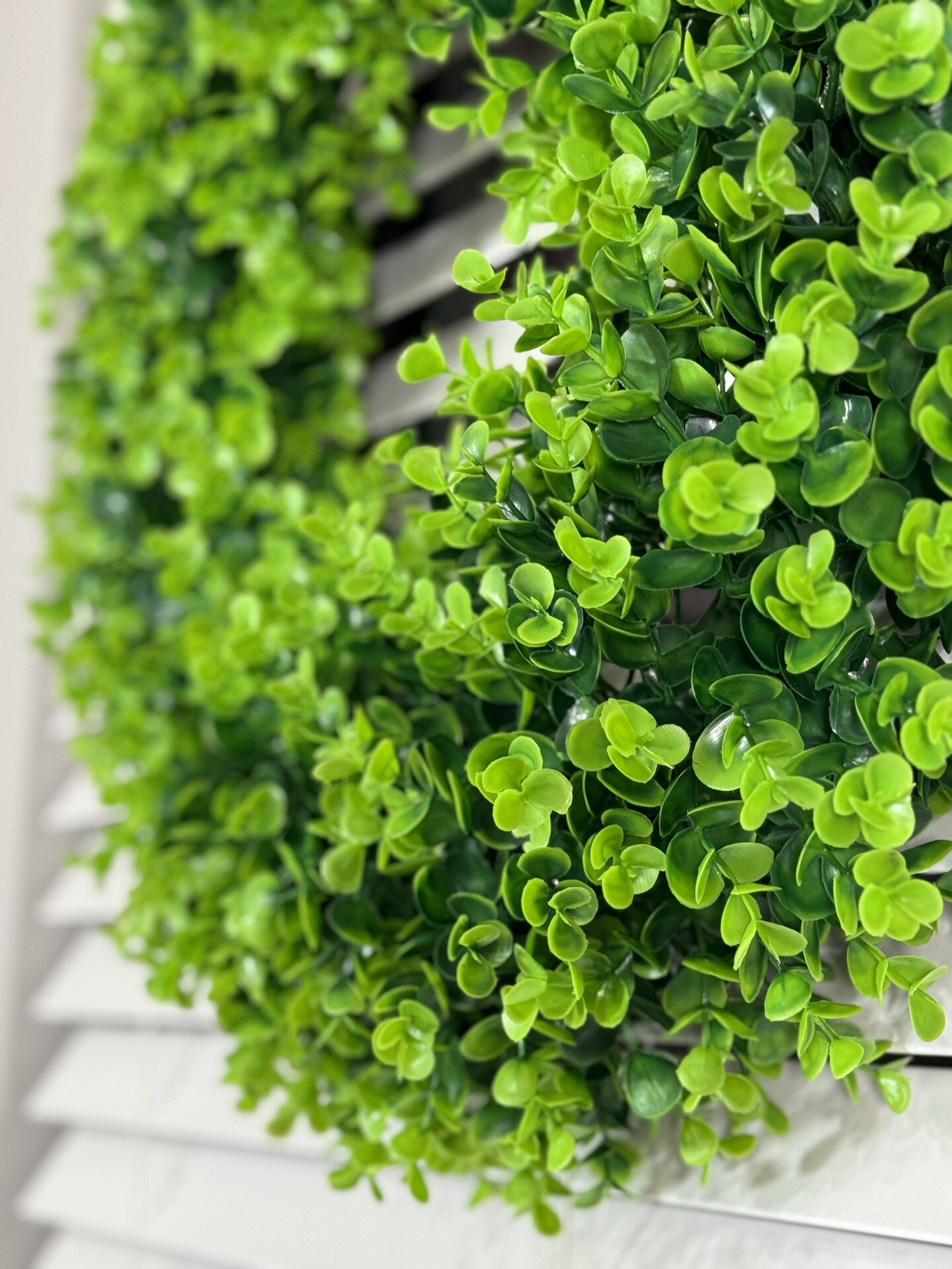 Chiara Artificial Green White Boxwood Decorative Wreath Indoor/Outdoor Use 23&#x27;&#x27;