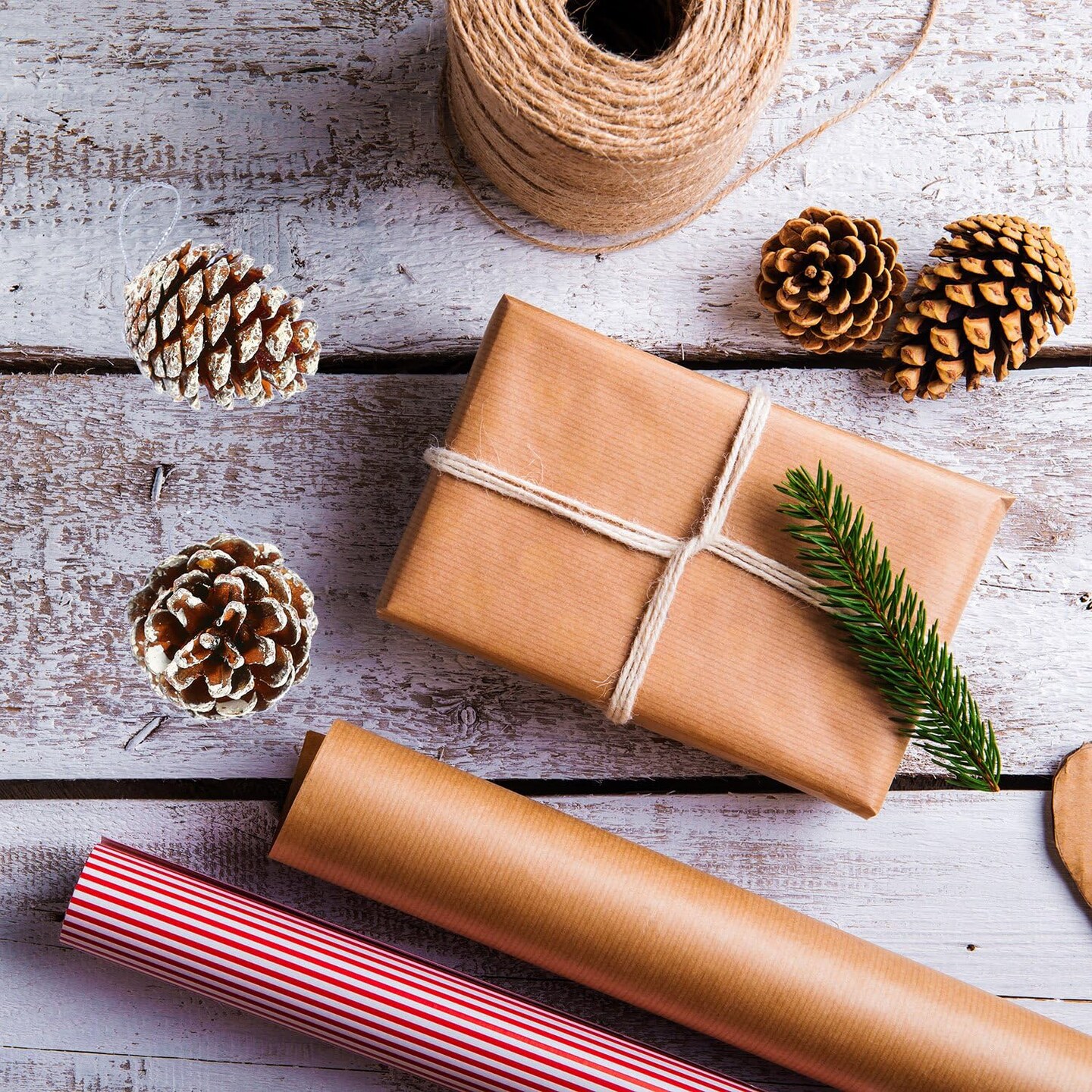 24 Pieces Christmas Pine Cones Ornament Natural PineCones with String Pendant Crafts for Gift Tag Christmas Tree Party Hanging Decoration (Snow)