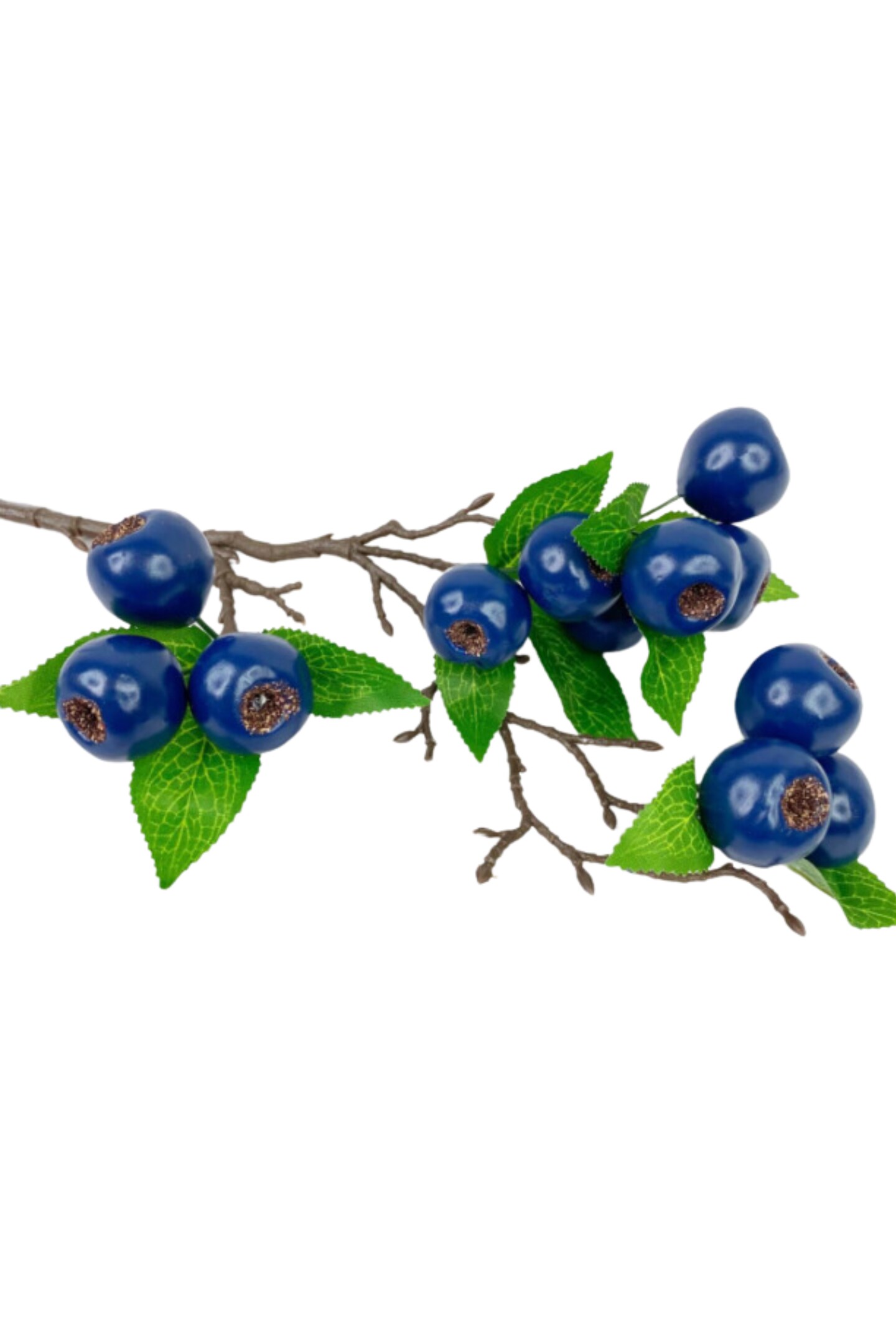 23&#x22; Blueberry Spray
