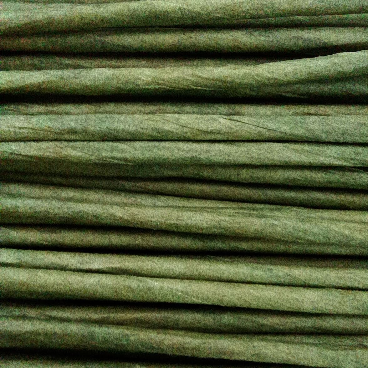 Floral Stem Wire, 100 Pcs, 2 Gauge, 10 Inch, Flower Stems, Artificial Green Crafts Wire Wreath Making Supplies for Flower DIY