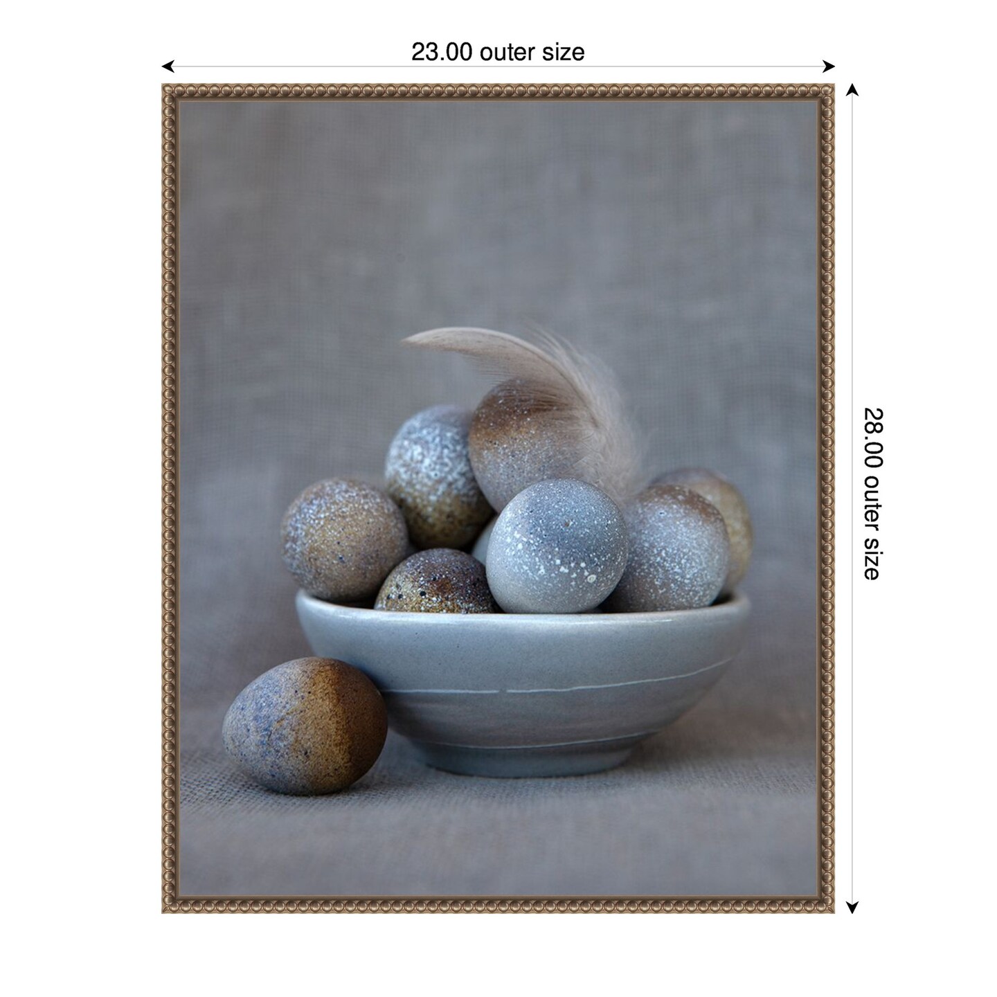 The Feather by Tania Soderman Framed Canvas Wall Art