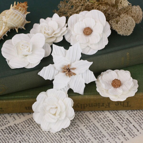 Tivona - Large - White Mix 655350557164
