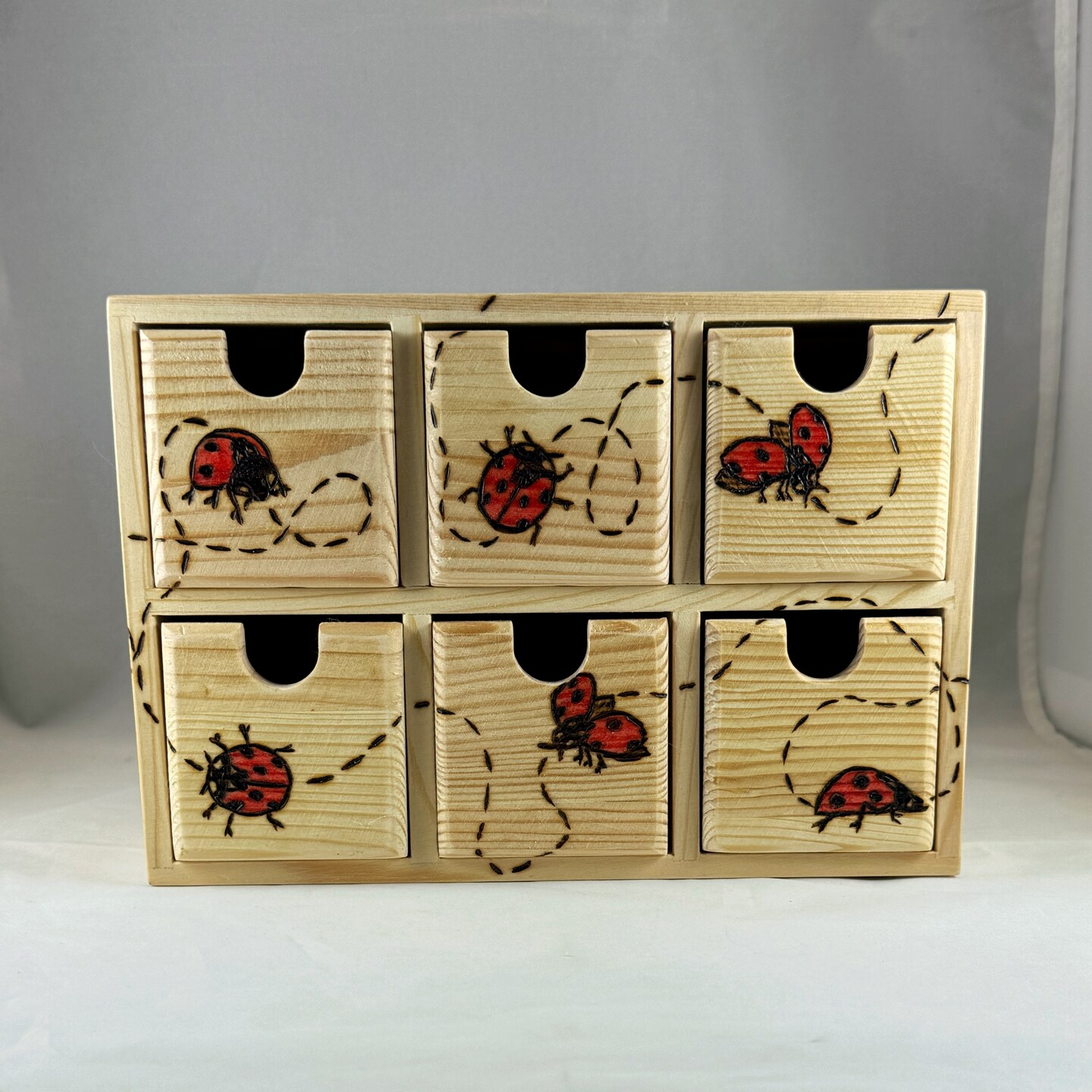 Ladybugs Flying Wood Burned Organizer w 6 Drawers, Wood Burn Art ...