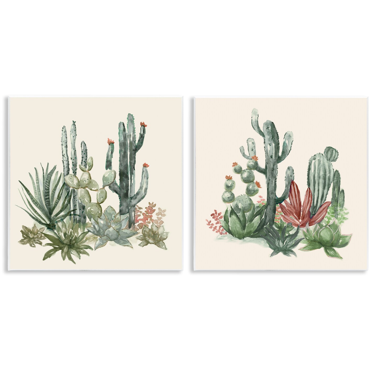 Stupell Industries Mojave Desert Cacti 2 Piece Wall Plaque Art Set, design by Nan