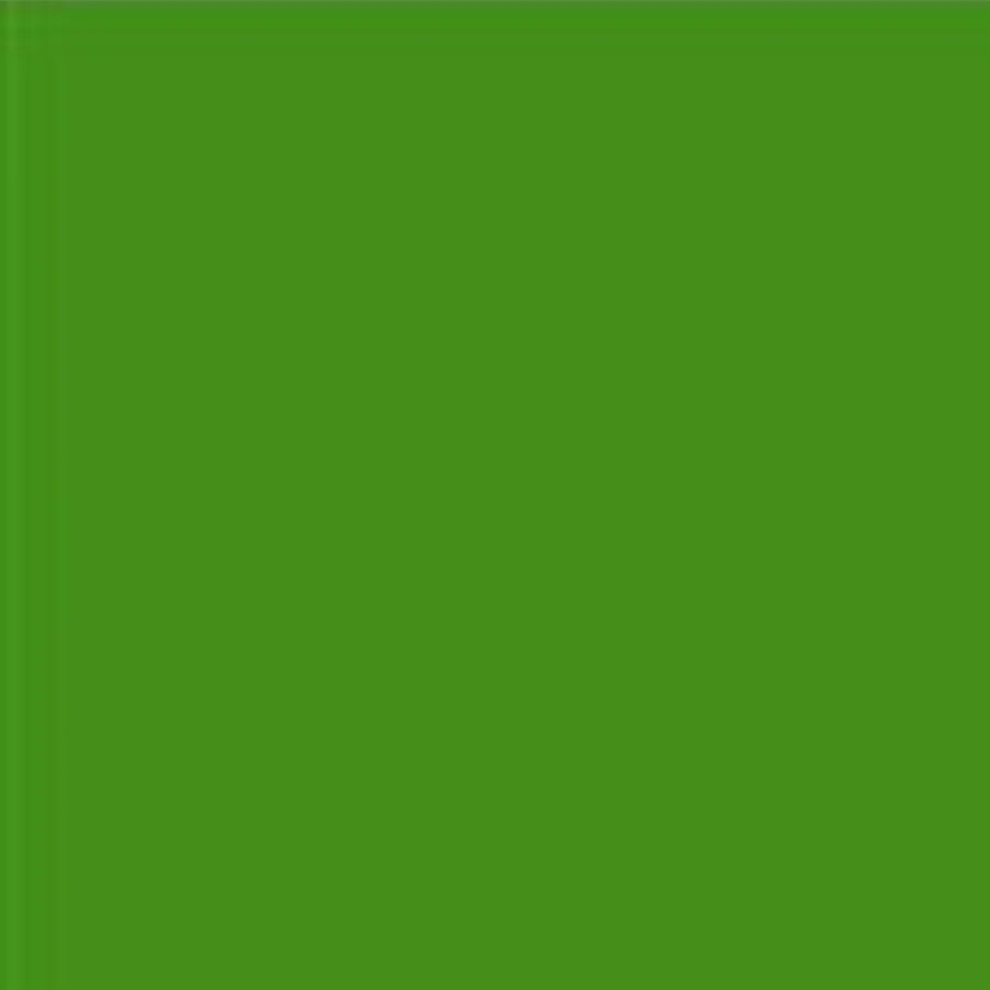 Fuse Master EZ Squeezy Liquid Enamel Glass Paint Grass Green 1.5oz.