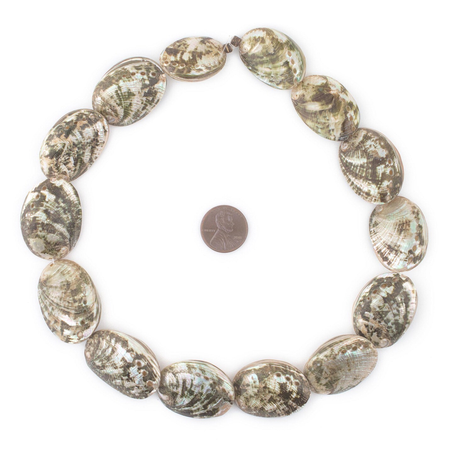 The Bead Chest Sea Forest Decorative Shell Beads 27mm Green Unusual Large Hole 16 Inch Strand