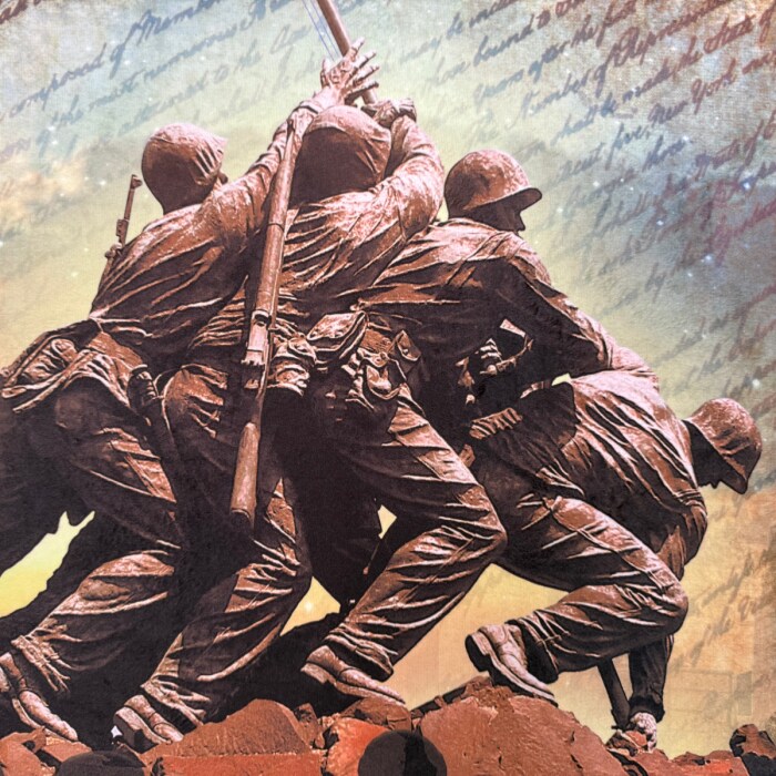 United States Constitution Silky Premium Fleece No-Sew Throw Fleece Fabric Kit (50x60)