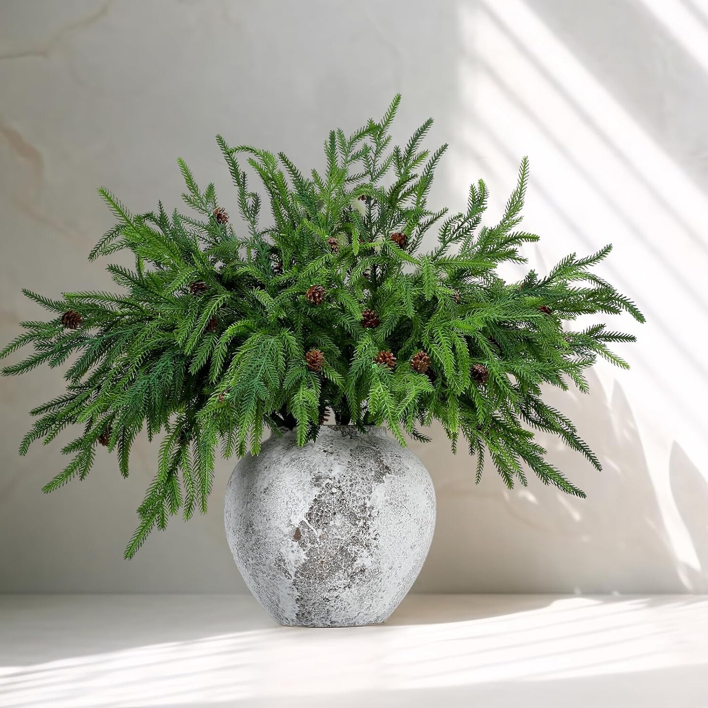 Xmas Norfolk Pine Branches with Pine Cones Norfolk Pine (Green) 15.74"D x 7.87"W x 0.78"H