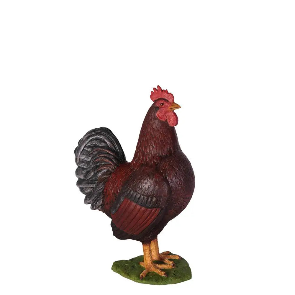 Rooster Life Size Statue