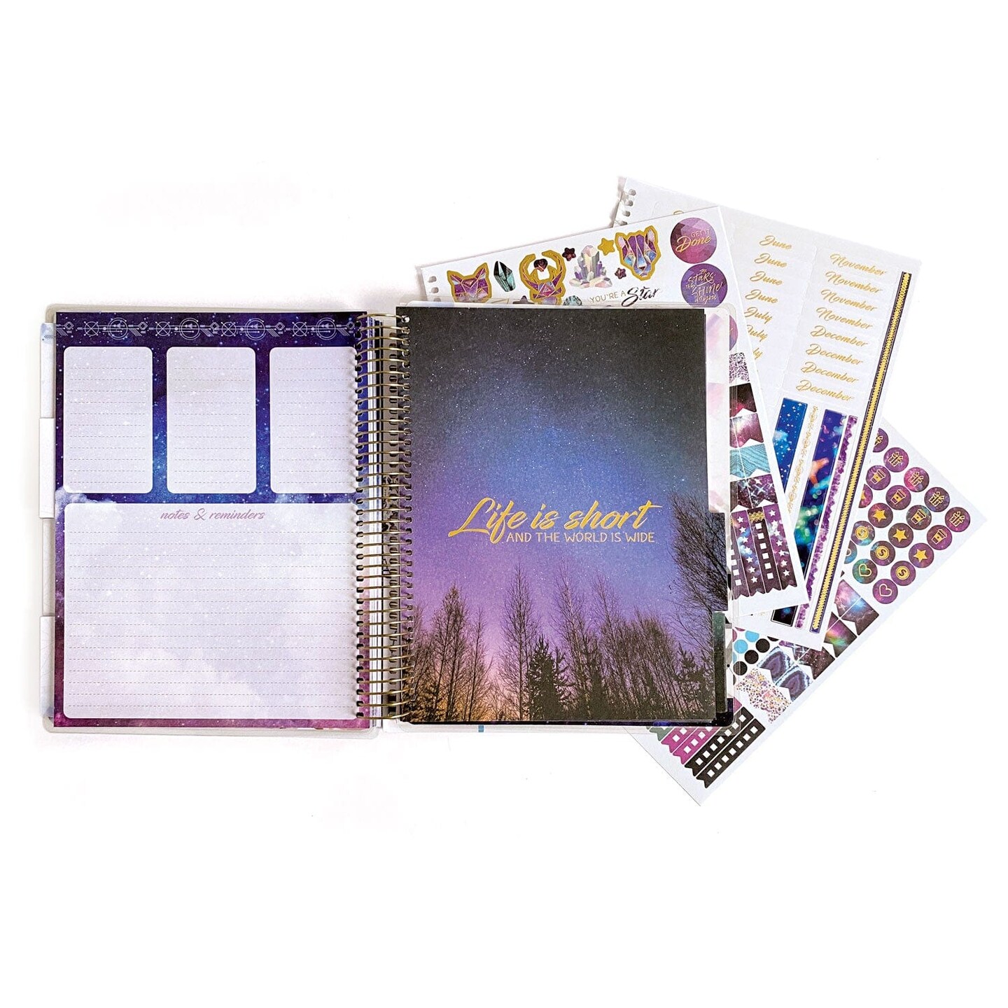 Weekly Planner - 12 Month Undated Stargazer Planner