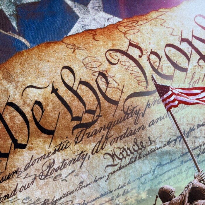 United States Constitution Silky Premium Fleece No-Sew Throw Fleece Fabric Kit (50x60)