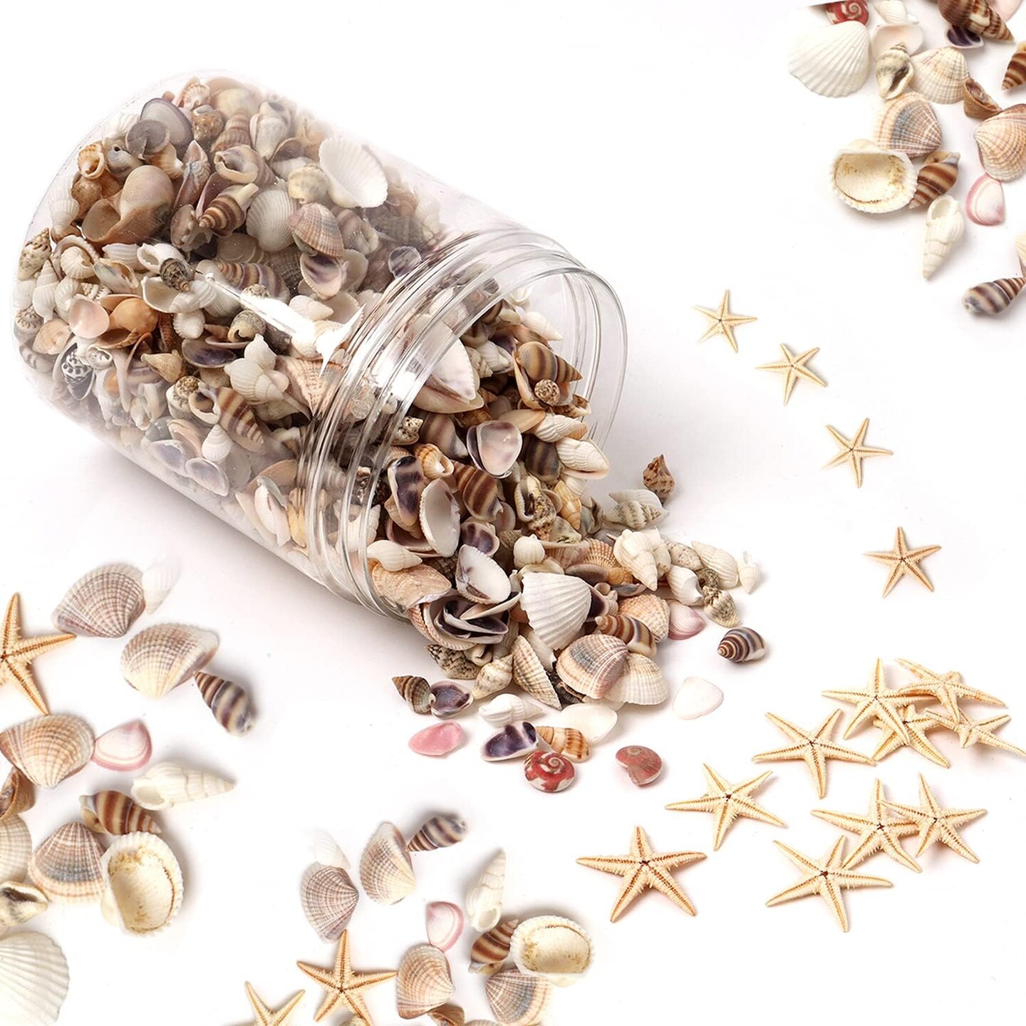 1200-Piece Tiny Sea Shells & Starfish Set – Natural Mixed Ocean Spiral Seashells for Home Decor, Wedding, Candle Making, Beach-Themed Party, DIY Crafts & Vase Filler
