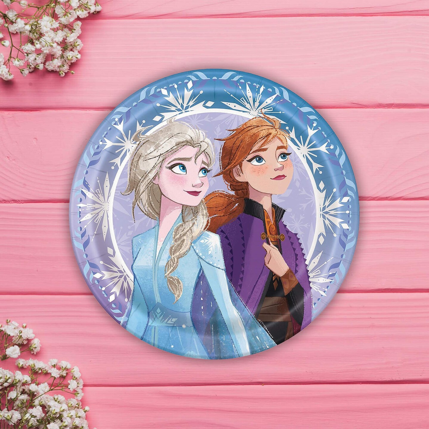 8 Count Frozen Elsa Anna Paper Dinner Plates Birthday Party Supplies Princess Theme 9&#x22;