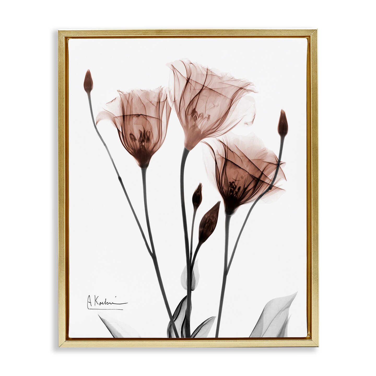 Stupell Industries Minimal Translucent Tulips Floating Frame By Albert Koetsier