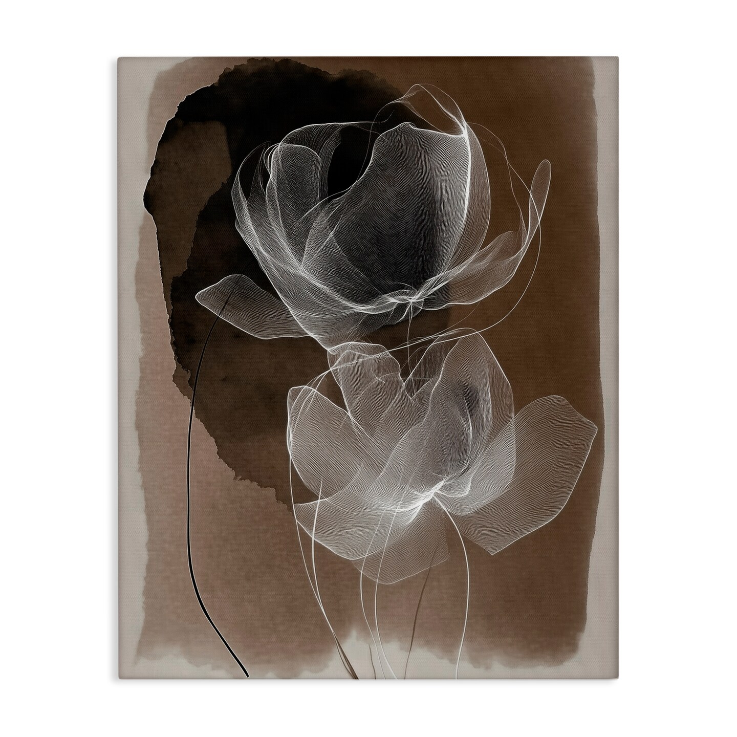 Stupell Industries Gossamer Roses on Brown Canvas By Annabelle Hall
