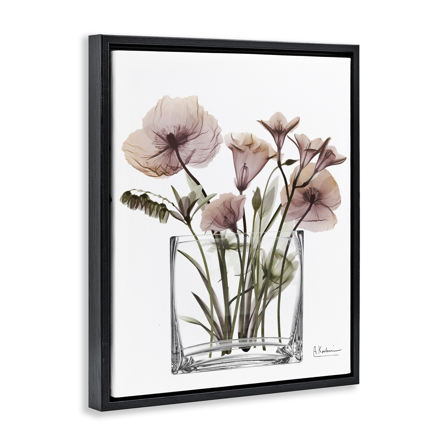 Stupell Industries Modern Translucent Flowers Floating Frame Design by Albert Koetsier