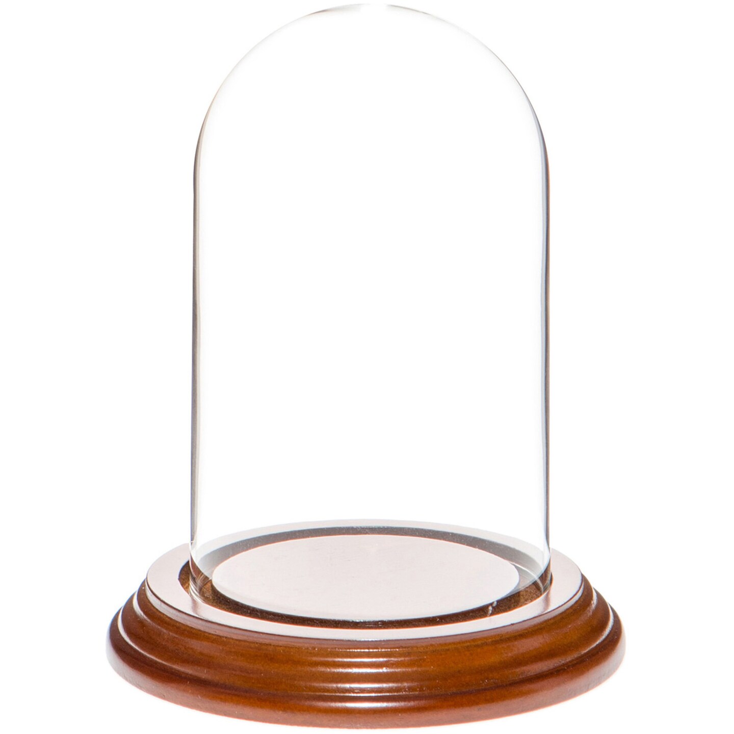 Plymor 3&#x22; x 5&#x22; Glass Display Dome Cloche