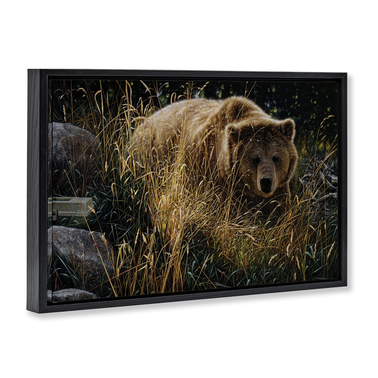 Stupell Industries Crossing Paths Grizzly Bear Floating Frame, design by Collin Bogle