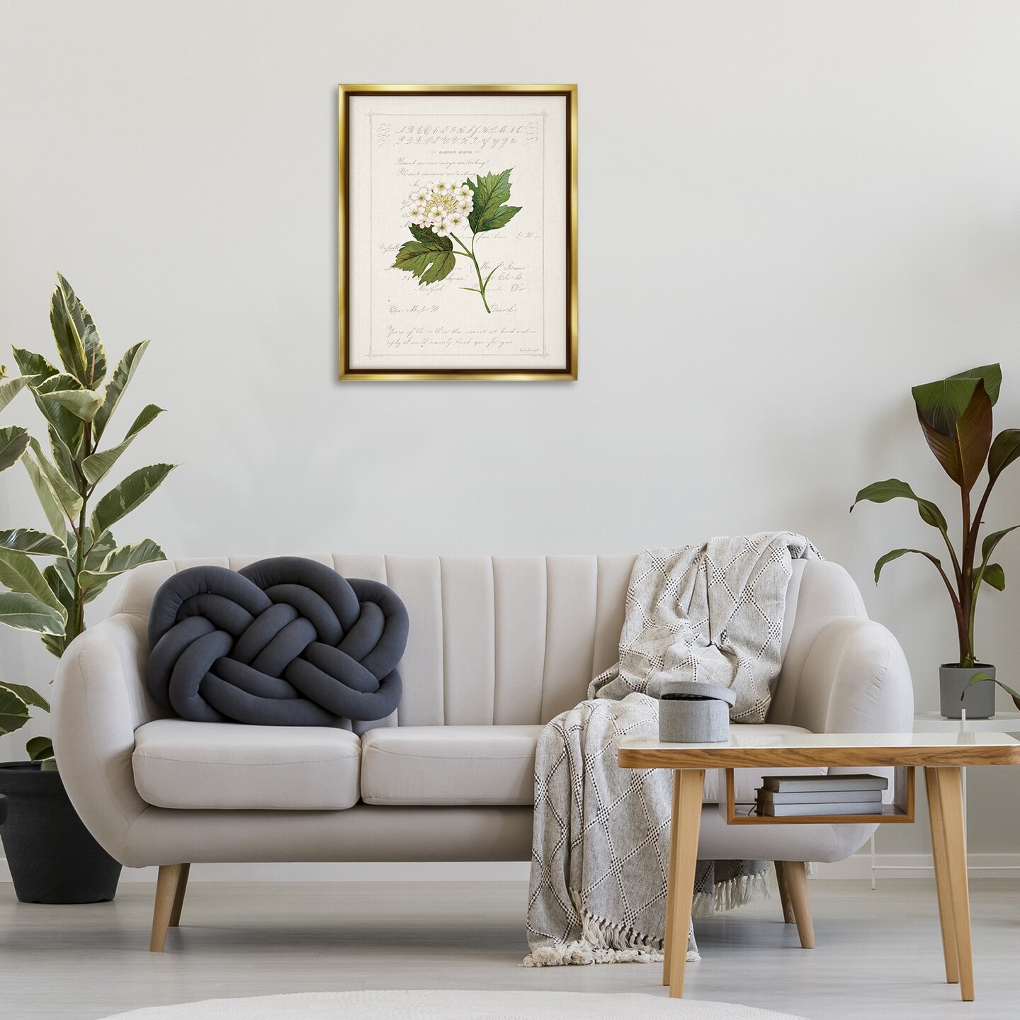 Stupell Industries Vintage Florals And Script Floating Frame By Jennifer Pugh