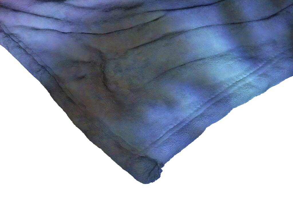 Warner Brothers Beetlejuice Silk Touch Throw Blanket