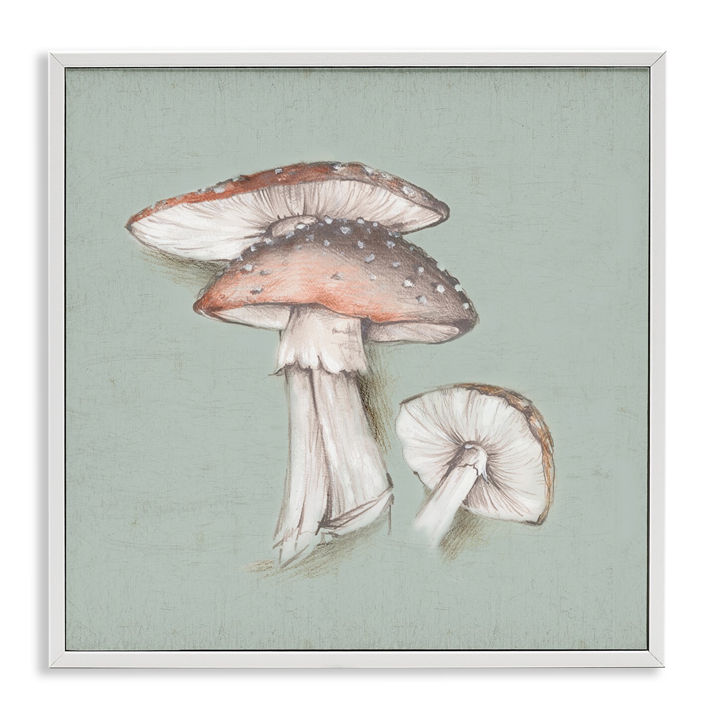 Stupell Industries Mushroom Bunch Drawing Framed Giclee Wall Art Design by Eli Jones