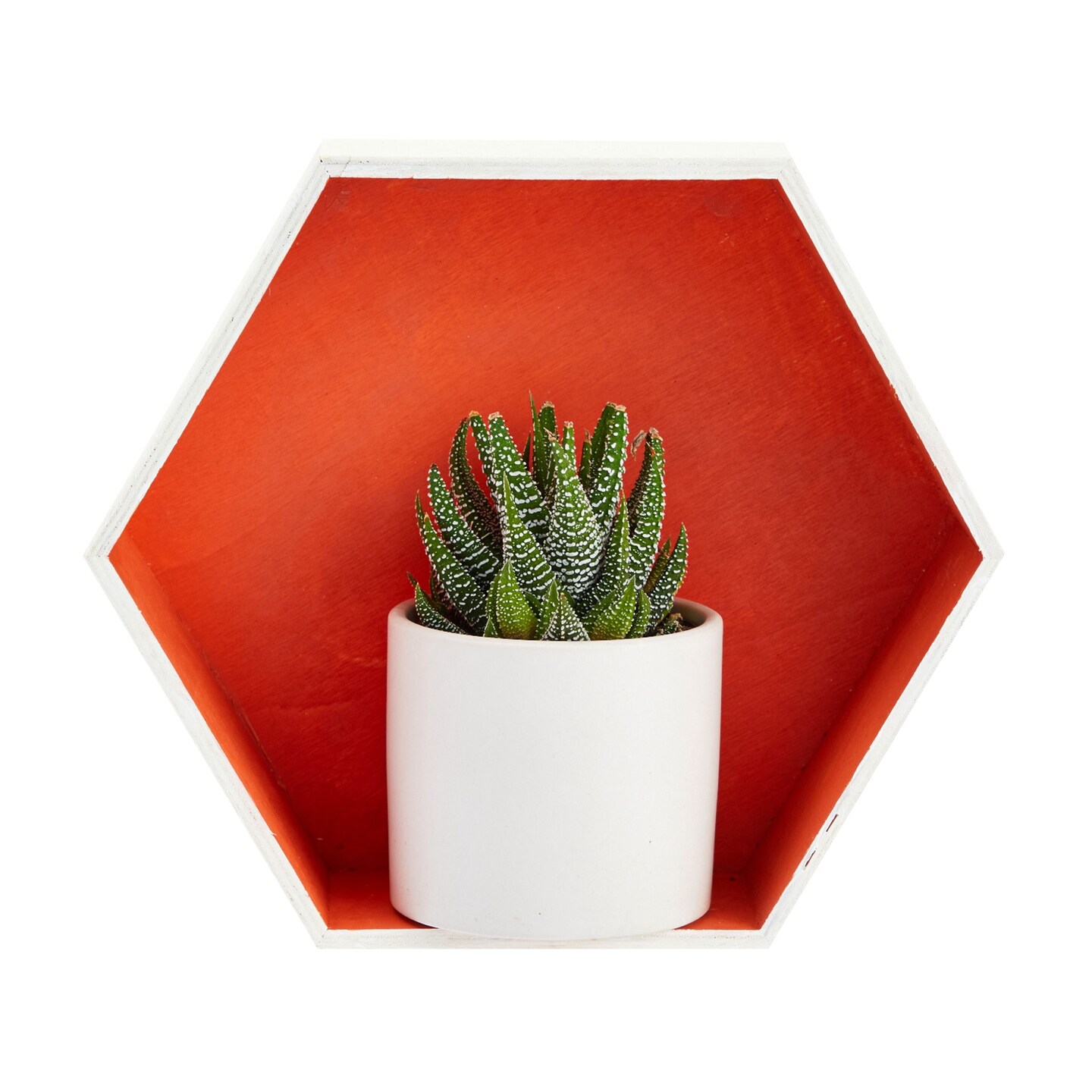 Set of 9 Unfinished Wooden Floating Hexagon Shelves for Wall (9 Sizes)