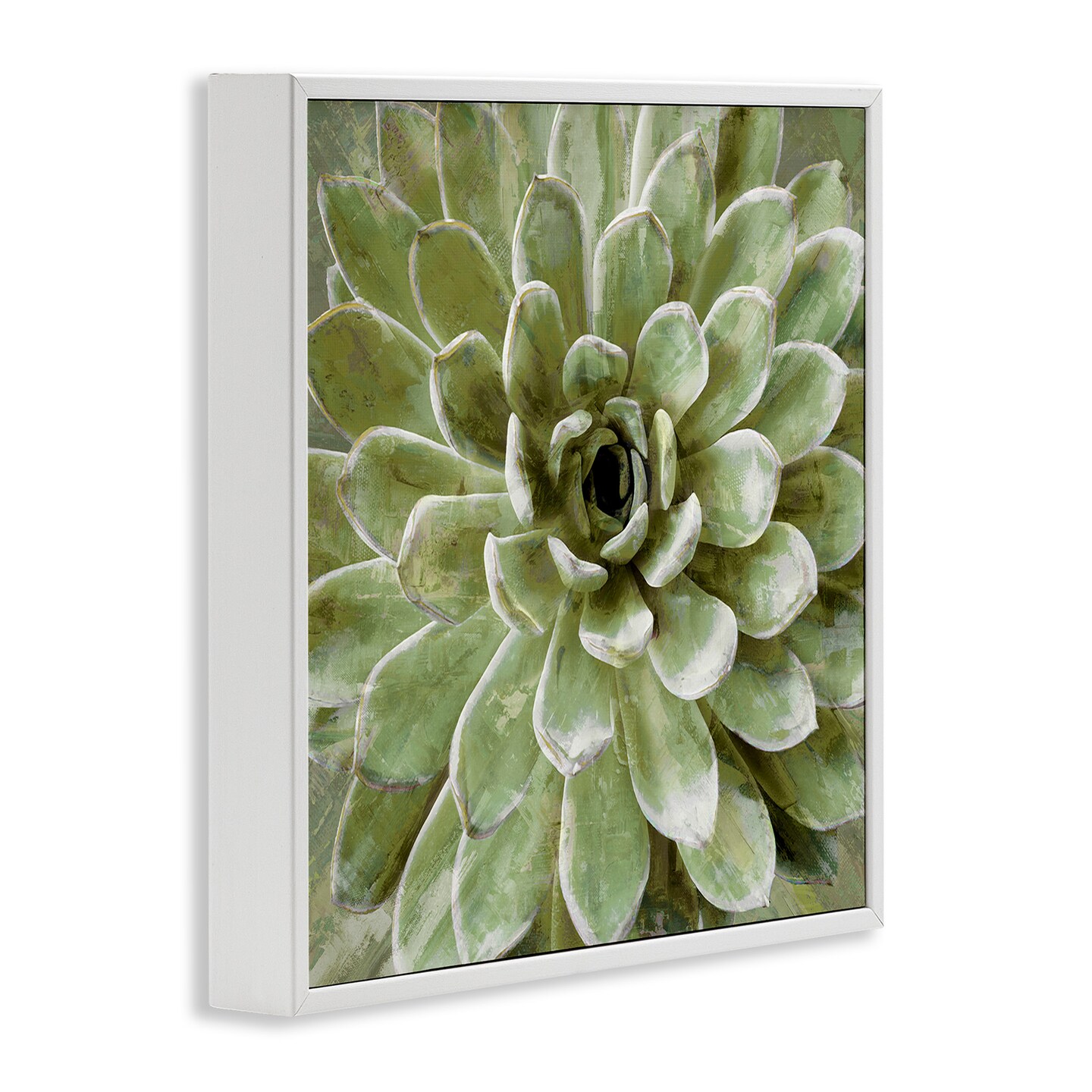 Stupell Industries Green Botanical Succulent Bloom Framed Giclee Art