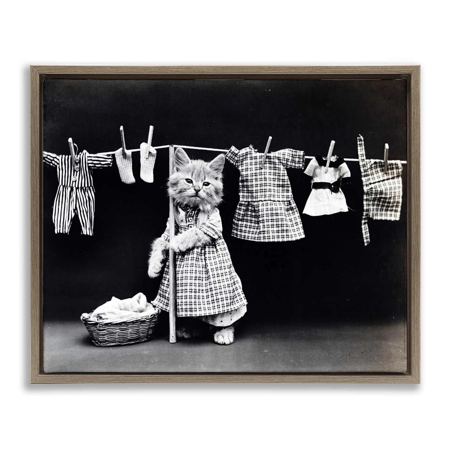 Stupell Industries Kitten Does The Laundry Framed Floater Canvas Wall Art