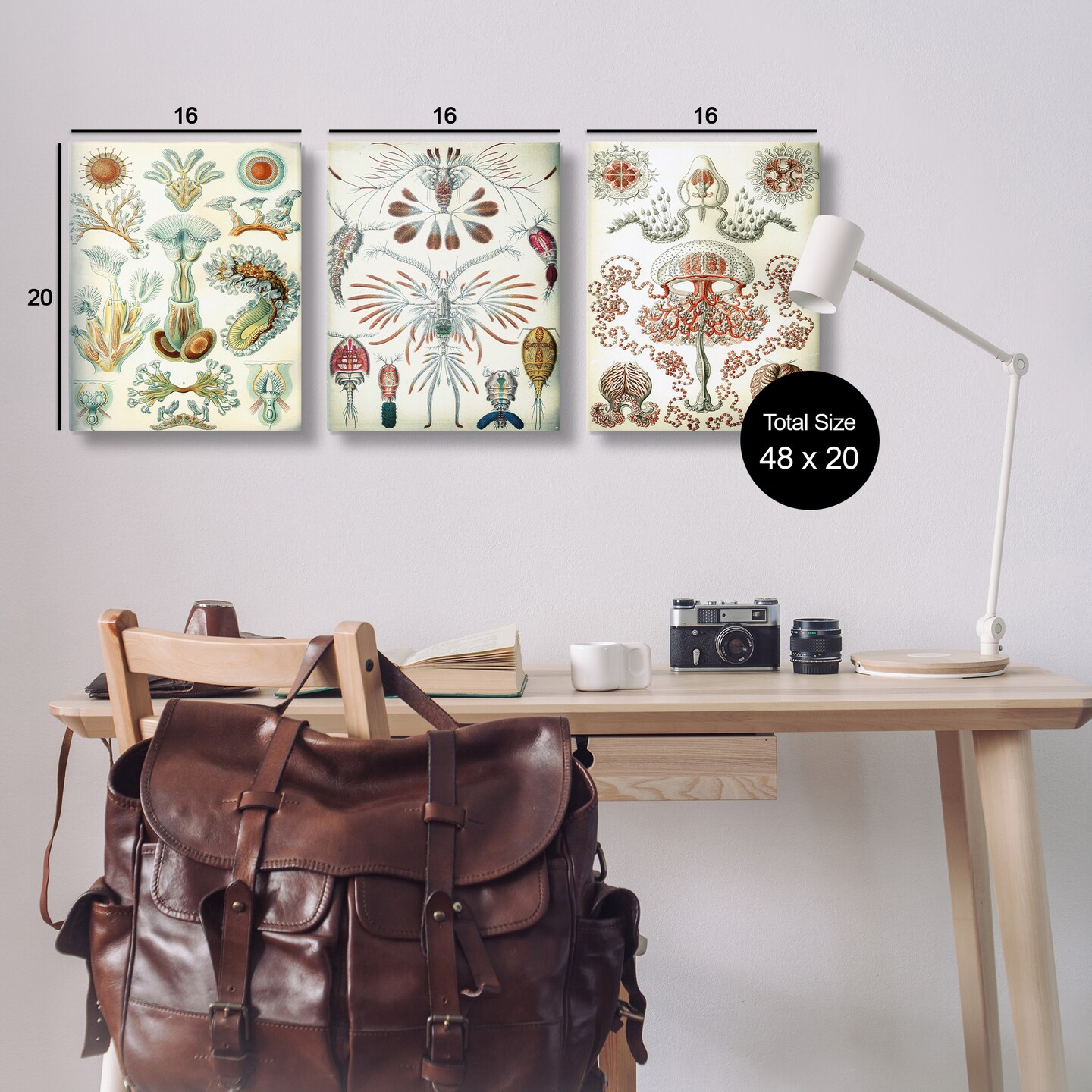 Stupell Industries Vintage Microscopic Crustaceans 3pc Canvas Wall Art Set Design by Graffi*tee Studios
