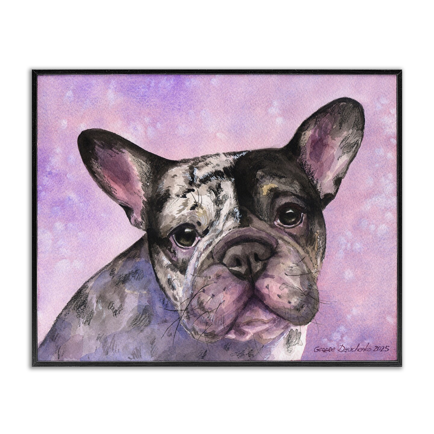 Stupell Industries Harlequin French Bulldog Framed Giclee, design