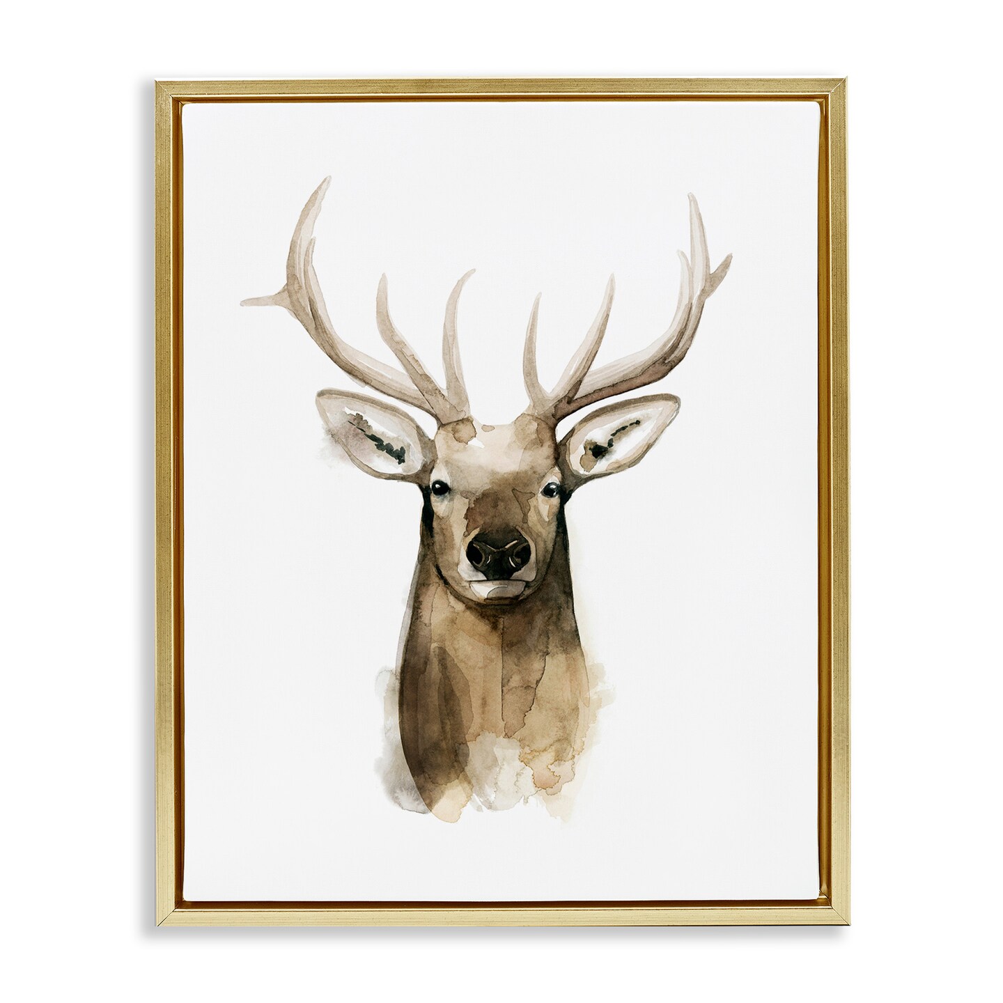 Stupell Industries Deer Portrait Watercolor Framed Floater Canvas Wall Art