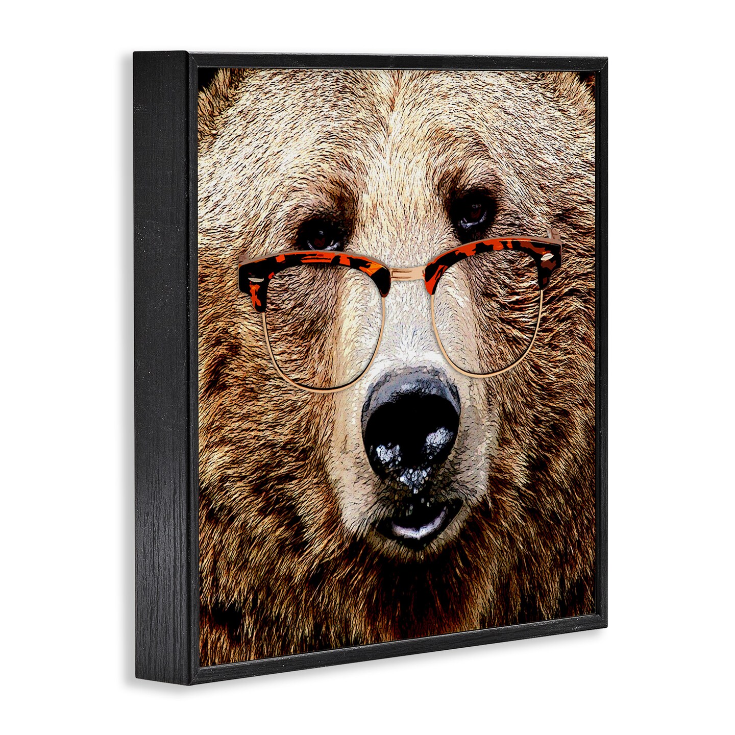 Stupell Industries Grizzly Bear with Glasses Framed Giclee Art