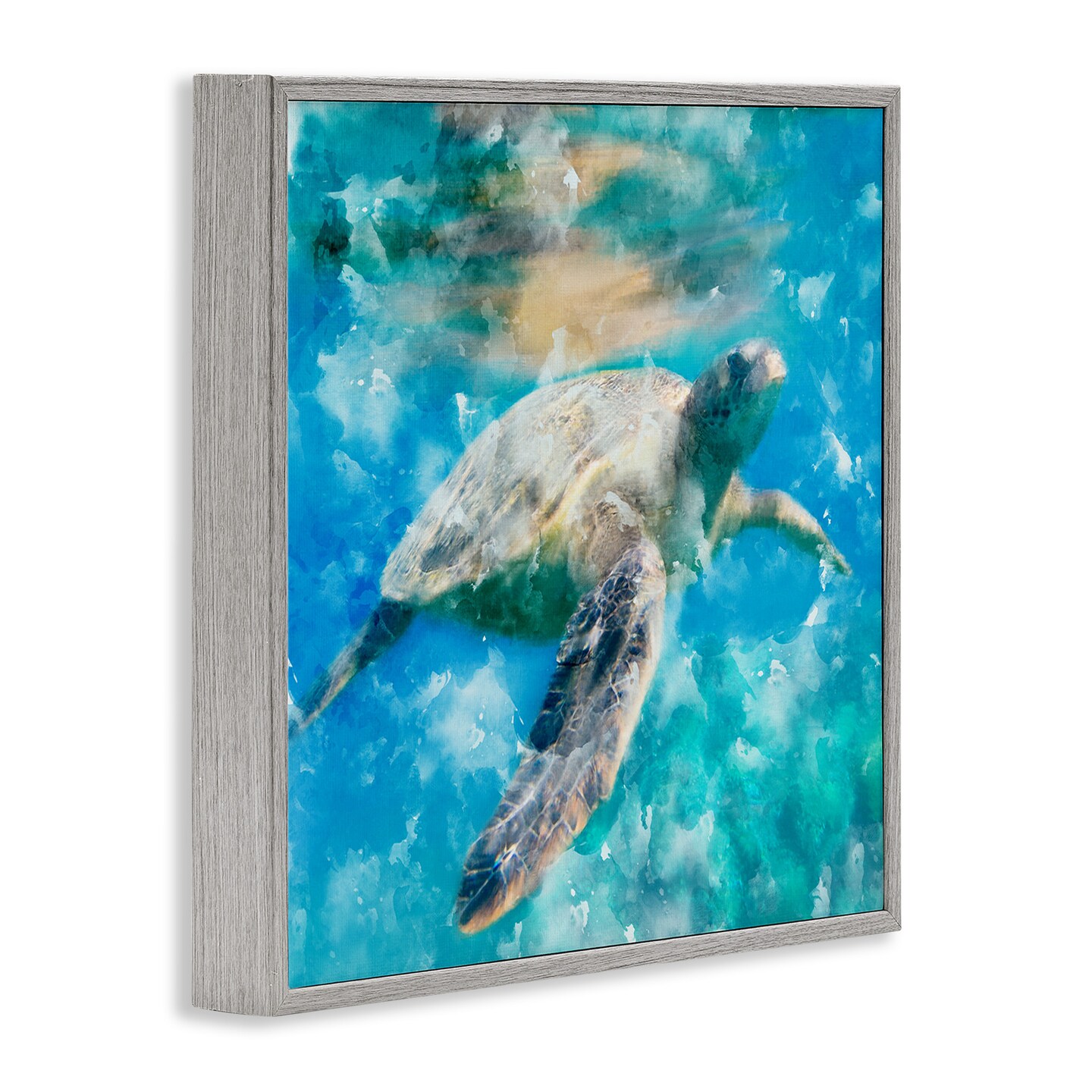 Stupell Industries Aquatic Swimming Sea Turtle Framed Giclee Art