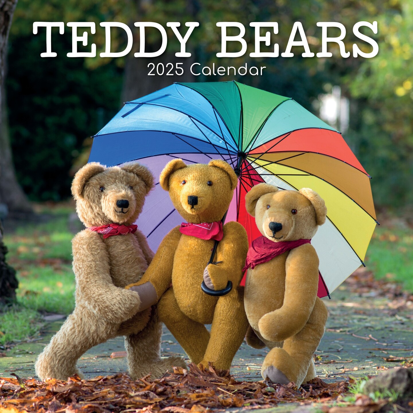 The Gifted Stationary 2025 Square Wall Calendar, Teddy Bears, 16-Month Lifestyles Theme Hanging Calendar with 180 Reminder Stickers, Month Planner for Home, or Creative Spaces, 12x12 In