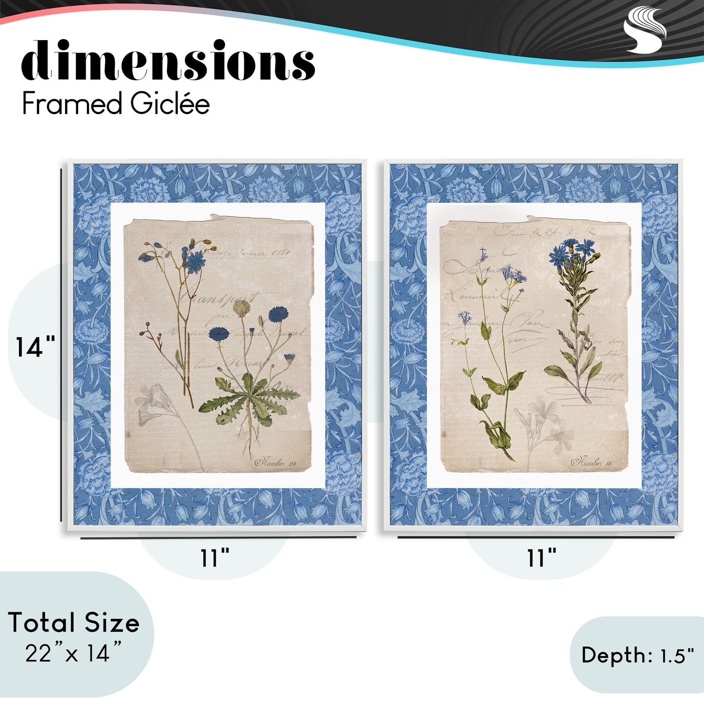 Stupell Industries Blue Botanical Herbs 2pc Framed Giclee Set, design by Livi Finn