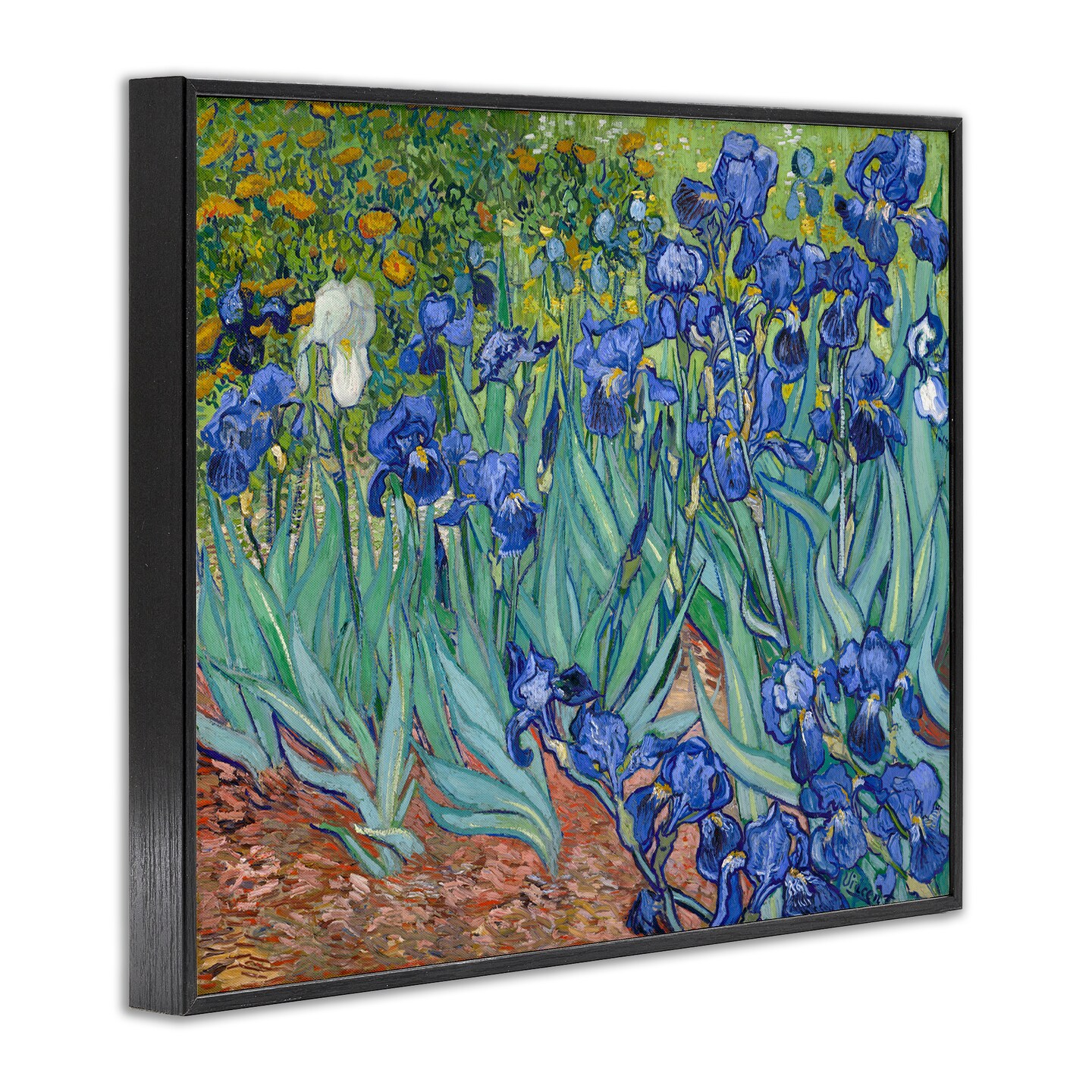 Stupell Industries Classic Van Gogh Irises Framed Giclee Wall Art Design by one1000paintings